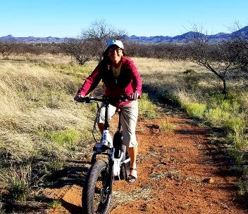 Lil Pony - E-bike, it's a game changer. Link